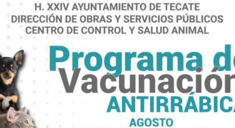 Gobierno de Tecate, calendario de vacunación antirrábica agosto 2022