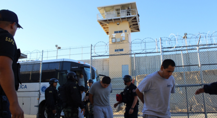 Trasladan a 305 reclusos de Tijuana a El Hongo de Tecate