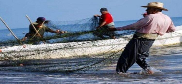 Pescadores de Baja California recibieron como apoyo 7 mil 500 pesos del Bienpesca 2023