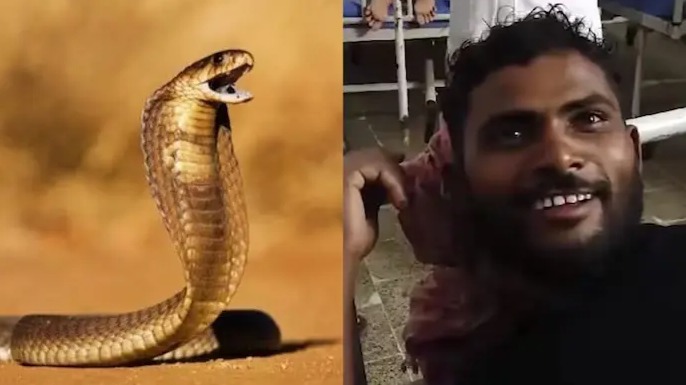 Un hombre en India responde a mordida de serpiente… ¡mordiéndola de vuelta!