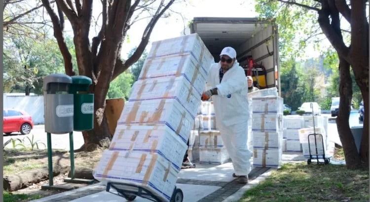 Llegan 920 cajas de colección osteológica de salvamento arqueológico del Tren Maya a la DAF