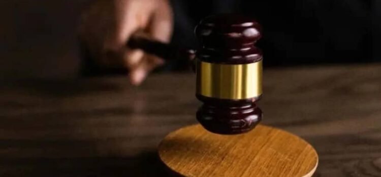 Más de 136 mil personas buscan ser observadores en las elecciones judiciales