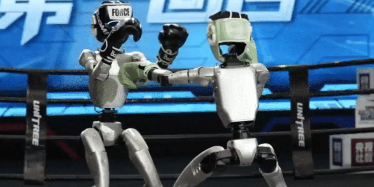 Realiza China el primer torneo mundial de kickboxing de androides