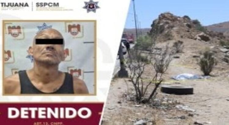 Detienen a sujeto por maltrato y muerte de un perro
