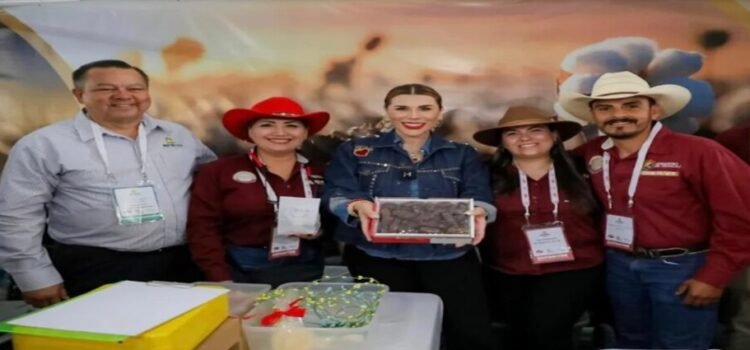 Baja California se convierte en líder a nivel nacional en producción de dátiles