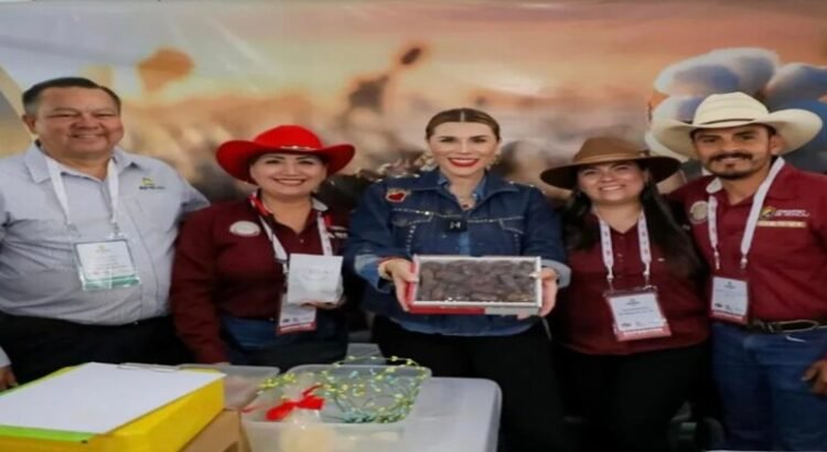 Baja California se convierte en líder a nivel nacional en producción de dátiles