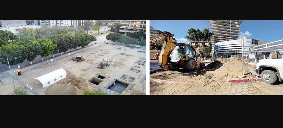 Organizaciones y vecinos exigen a Porsche plantar 1,500 árboles tras tala en Zona Río de Tijuana