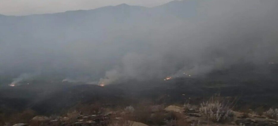 Incendio forestal entre Tijuana y Tecate alcanza 80% de control